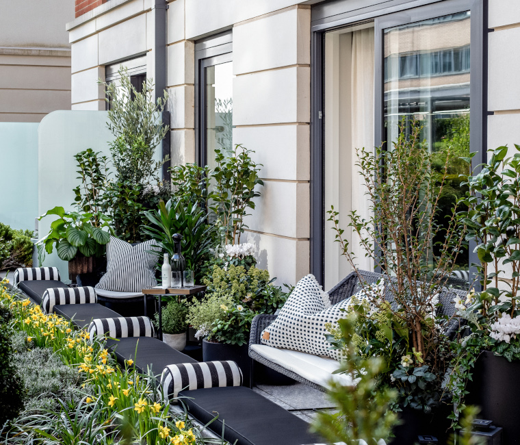 Project: Chelsea Creek