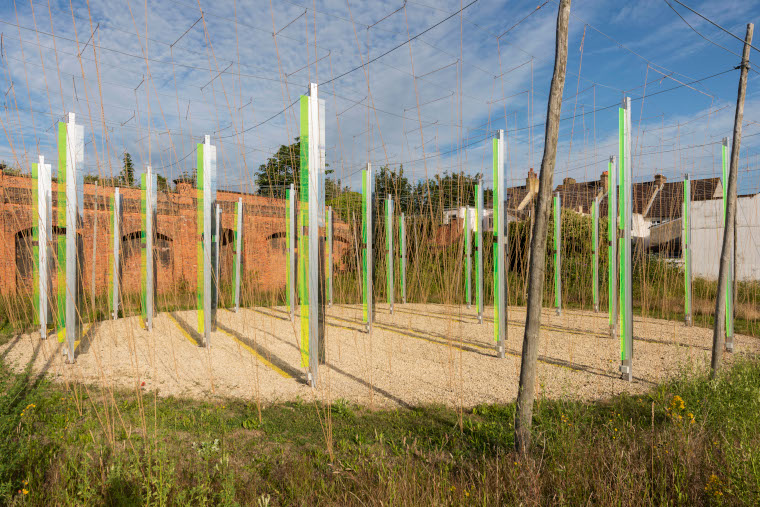 Hop field art by Jyll Bradley for Creative Folkestone Triennial