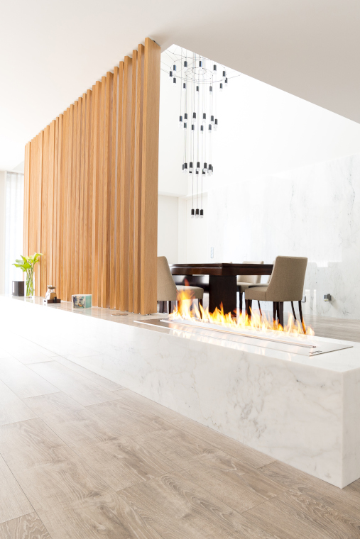 FLA3+ ethanol fire from Planika