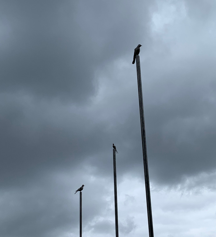 A Moment Without You art by Tracey Emin