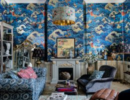 Curators Cabinet Collection from Mindthegap