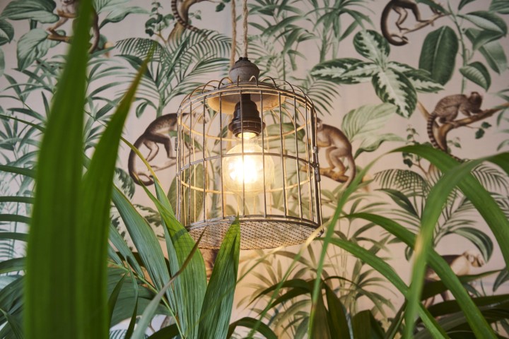 Design by Tara Rodrigues