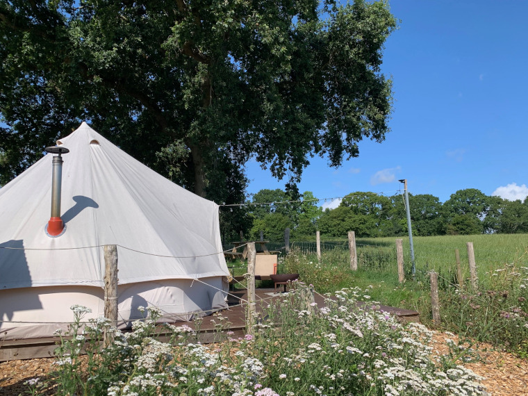 Bell tent at Tillingham vineyard